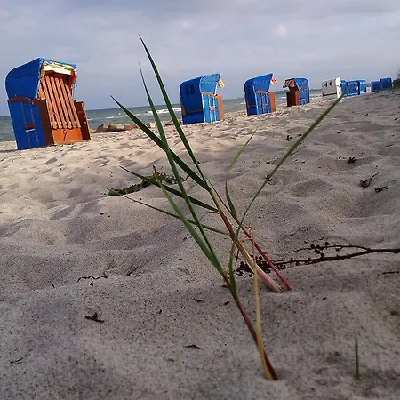 Fewo Tyrhardt * Kappeln